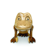 Freddy Frog
