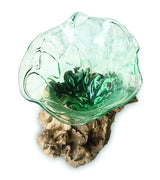 Root With Flower Shape Molten Glass Bowl 35cm Large