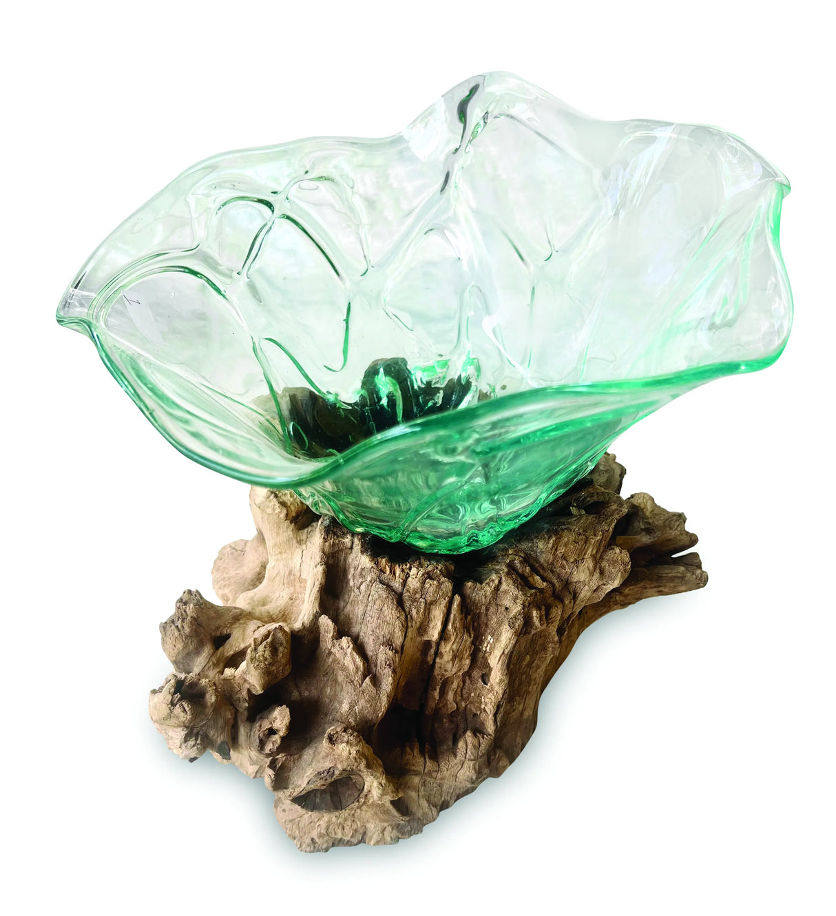 Root With Flower Shape Molten Glass Bowl 35cm Large