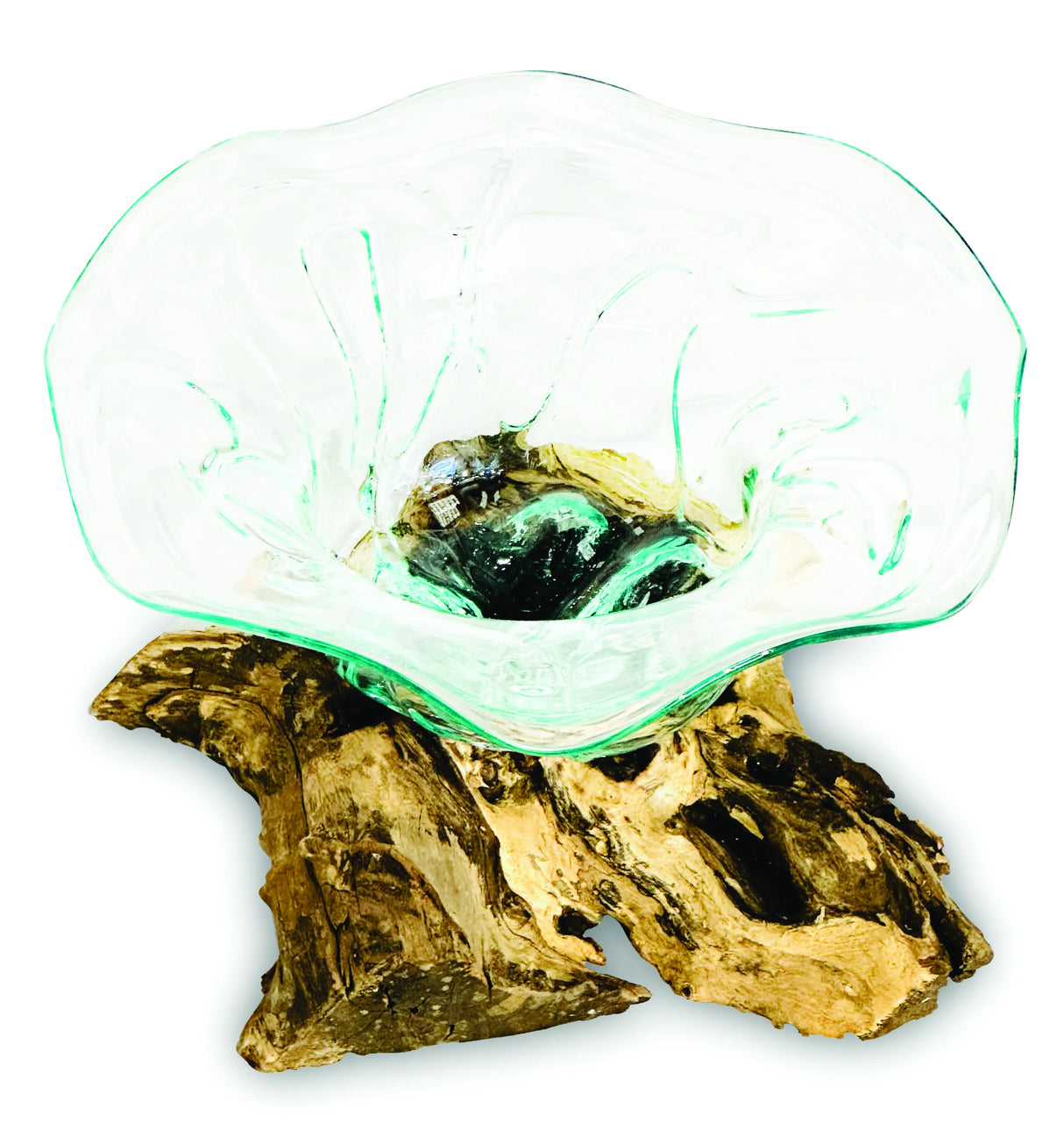 Root With Flower Shape Molten Glass Bowl 35cm Large