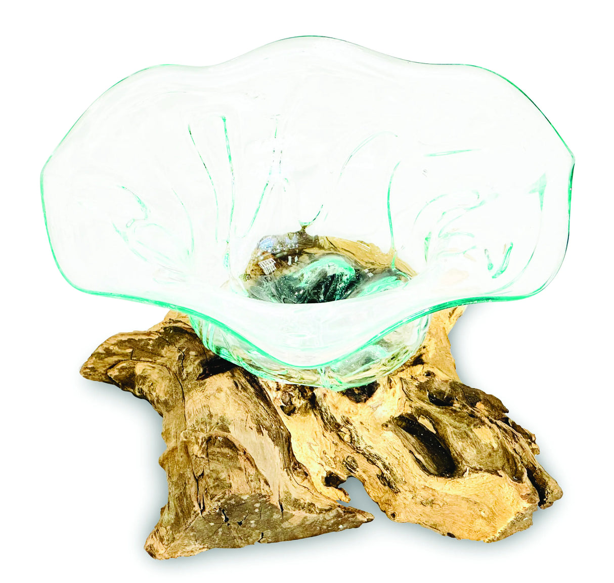 Root With Flower Shape Molten Glass Bowl 35cm Large