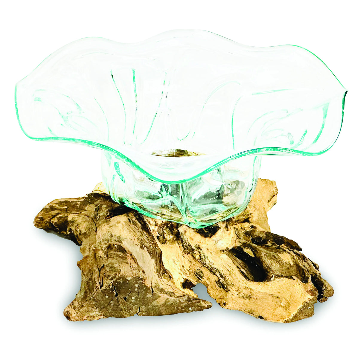 Root With Flower Shape Molten Glass Bowl 35cm Large