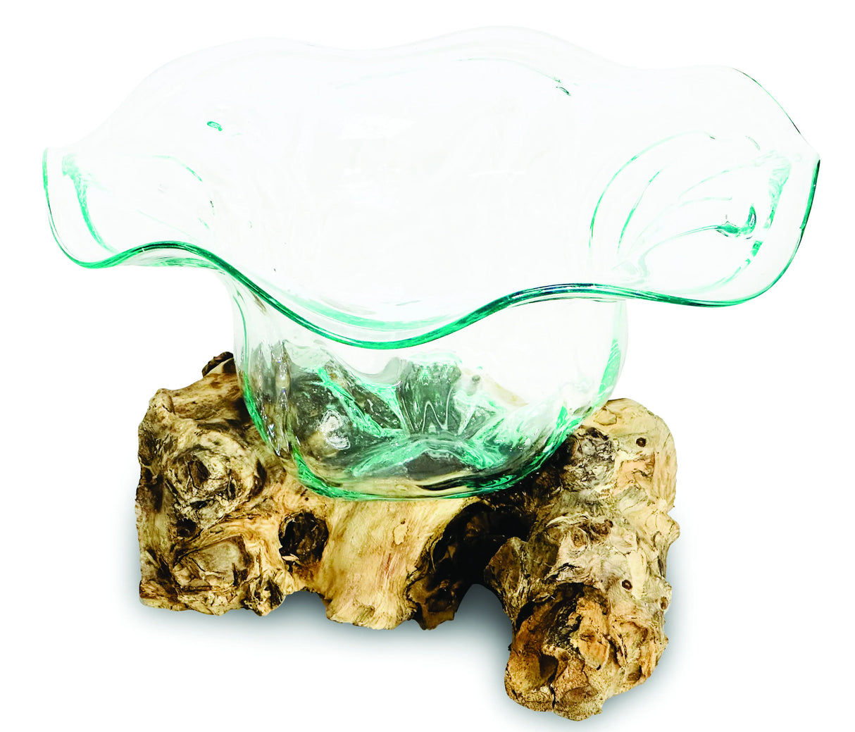 Root With Flower Shape Molten Glass Bowl 35cm Large