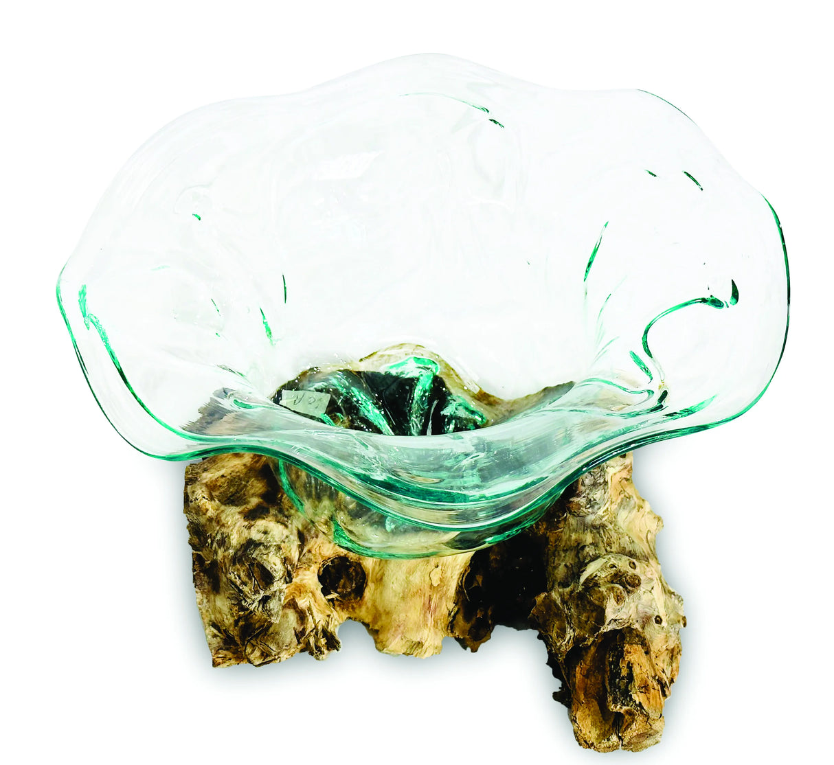 Root With Flower Shape Molten Glass Bowl 35cm Large