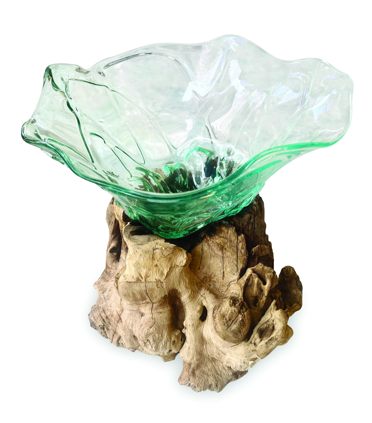 Root With Flower Shape Molten Glass Bowl 35cm Large
