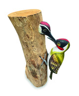 Woodpecker And Chick 28cm (Please Order In Multiples Of 2)