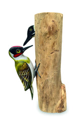Woodpecker And Chick 28cm (Please Order In Multiples Of 2)