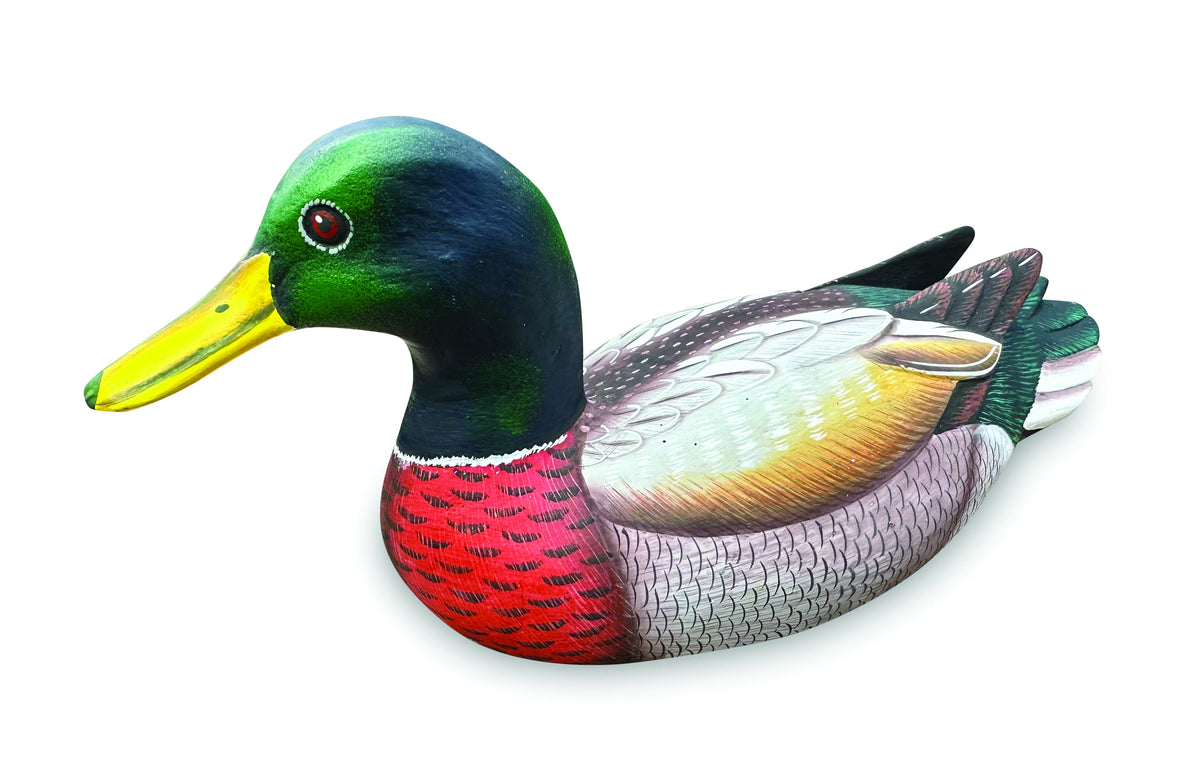 Mallard Duck W25cm (Please Order In Multiples Of 2)