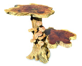 Driftwood Mushroom Colony Lamp Table With 9 Mushrooms 30cm