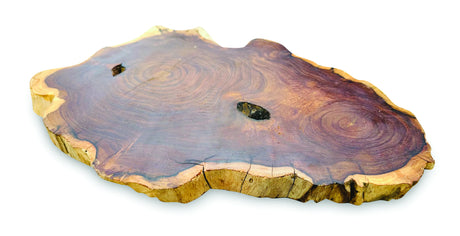 Tree Root Slice Placemats Large 30-35cm
