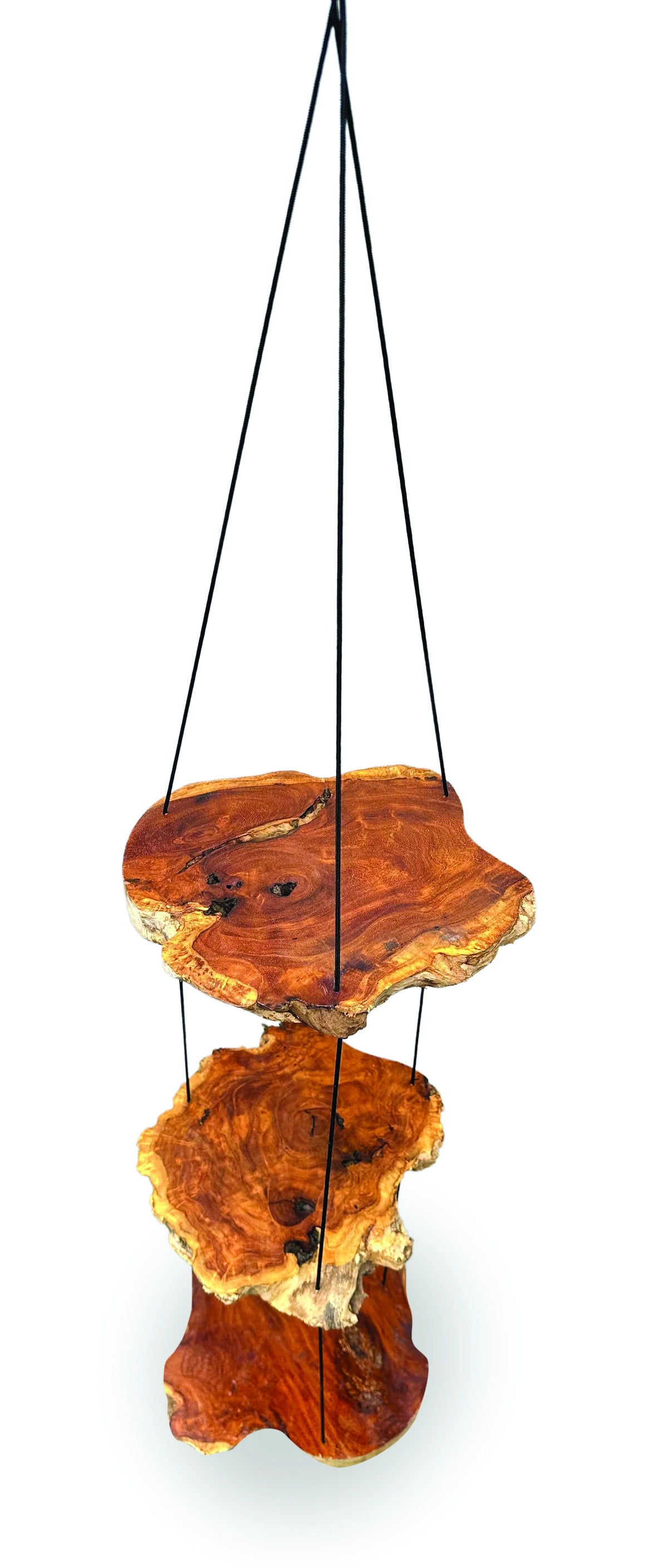Hanging Tree Root Slices 3 Shelves 100cm