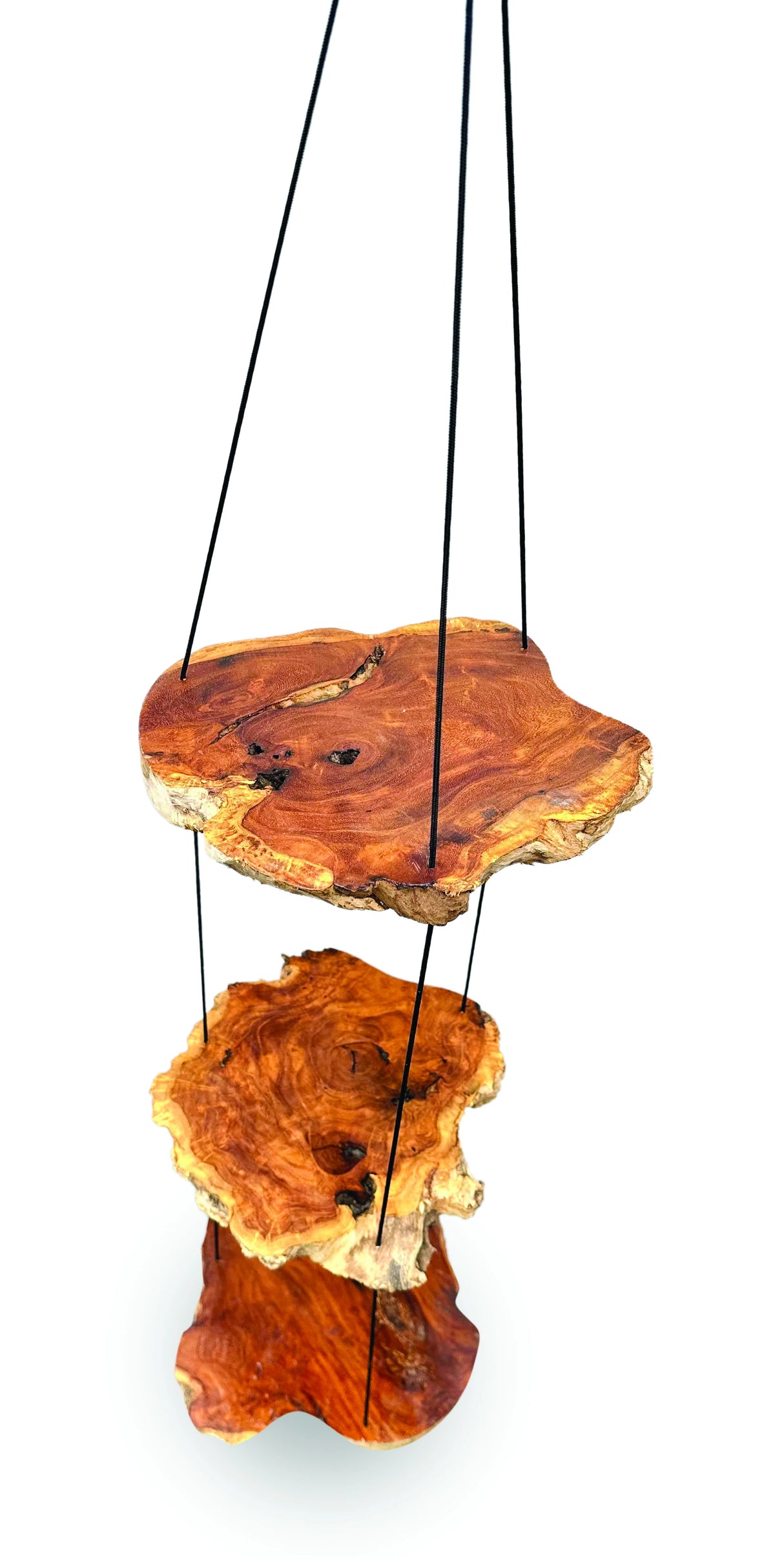 Hanging Tree Root Slices 3 Shelves 100cm