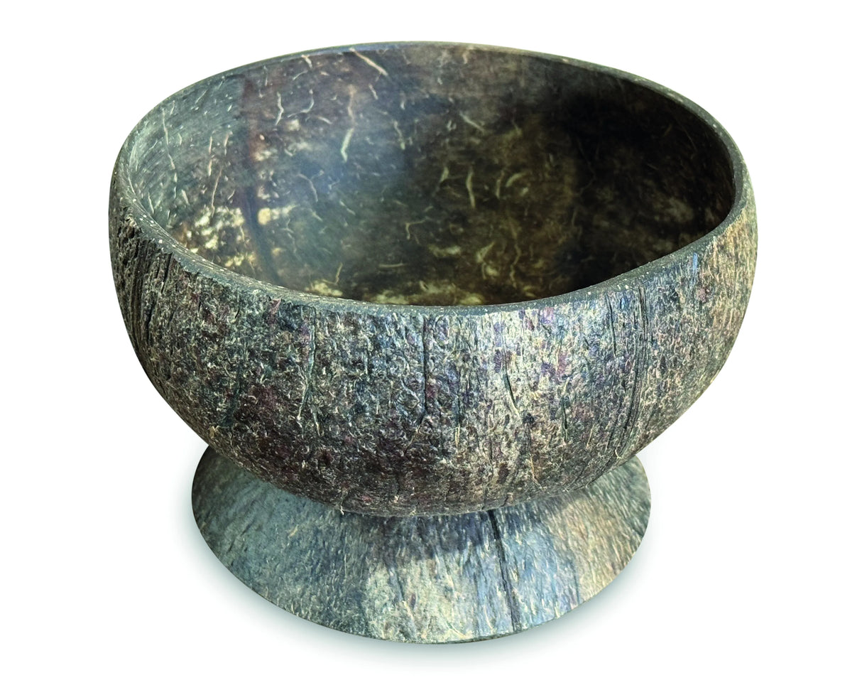 Natural Coconut Bowl With Coconut Base