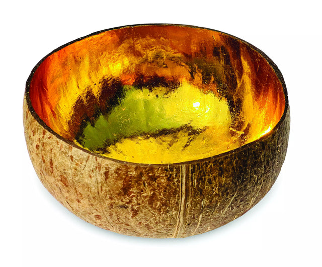 Natural Coconut Bowl Painted Gold