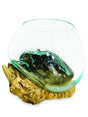 Root With Glass Bowl Small