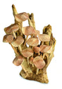 No 15 Mushroom Sculpture 28cm (Approx)