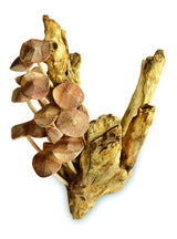 No 15 Mushroom Sculpture 28cm (Approx)