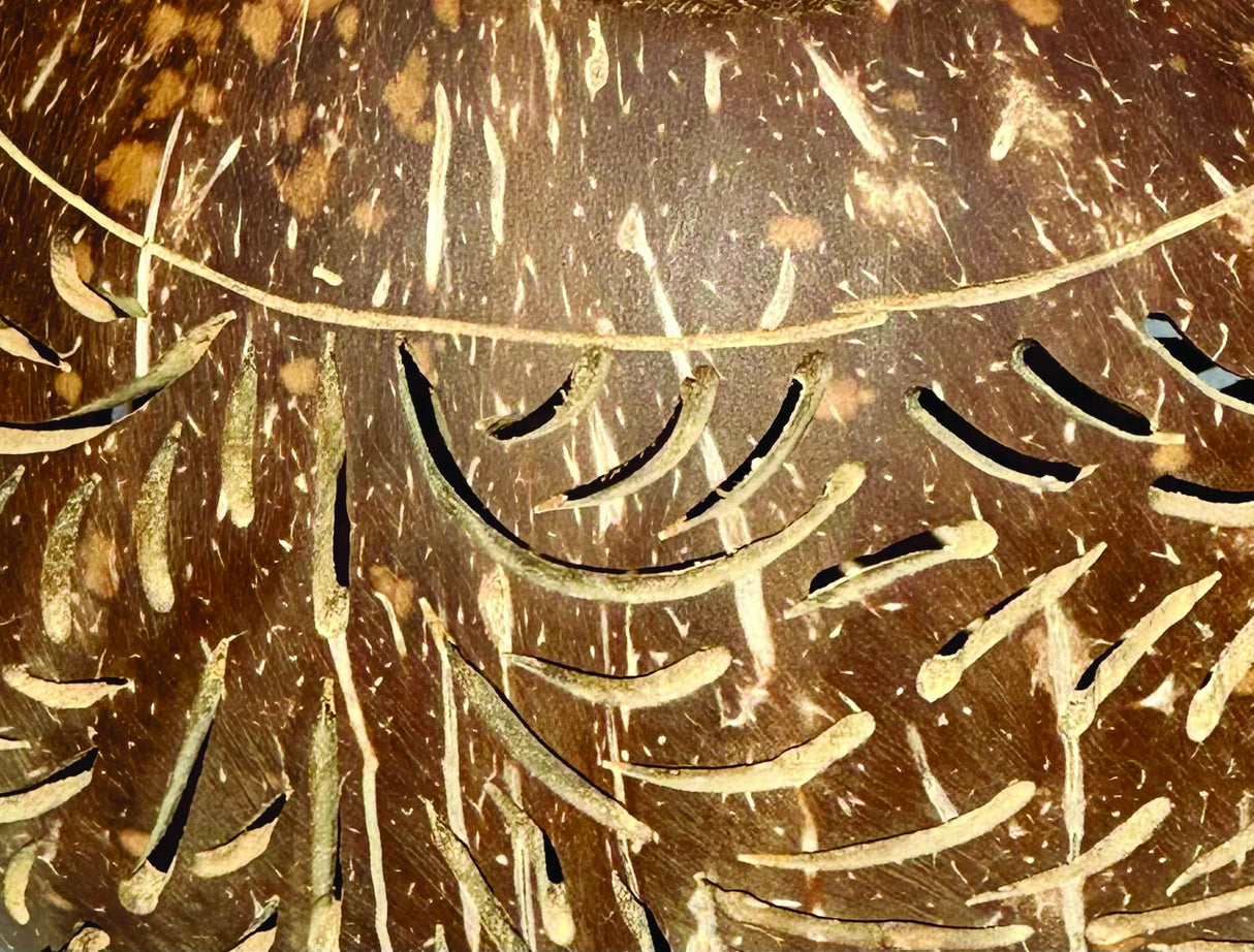 Coconut Shell Sphere Phoenix Style Intricate Carving