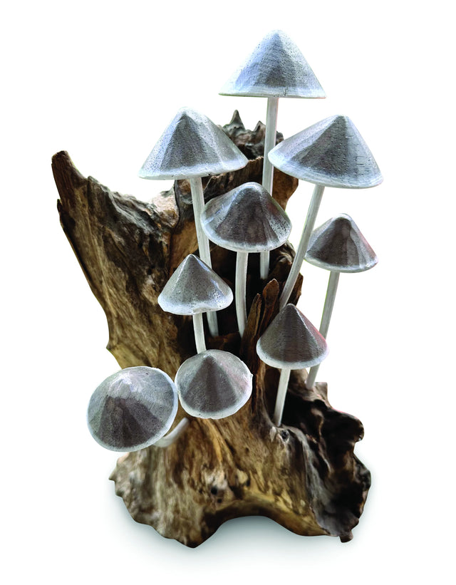 Ink Cap Mushroom Colony Driftwood Sculpture H30cm