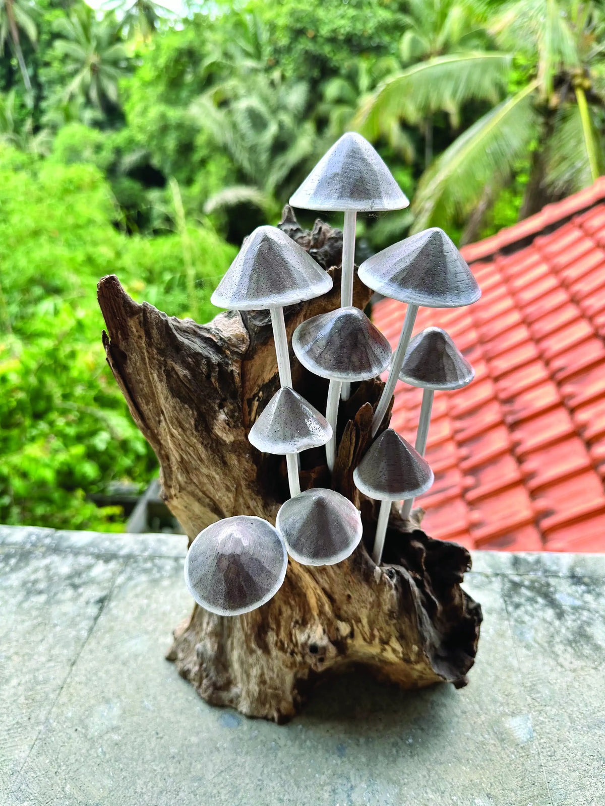 Ink Cap Mushroom Colony Driftwood Sculpture H30cm