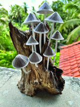 Ink Cap Mushroom Colony Driftwood Sculpture H30cm