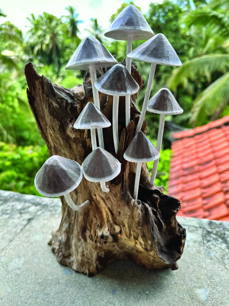 Ink Cap Mushroom Colony Driftwood Sculpture H30cm