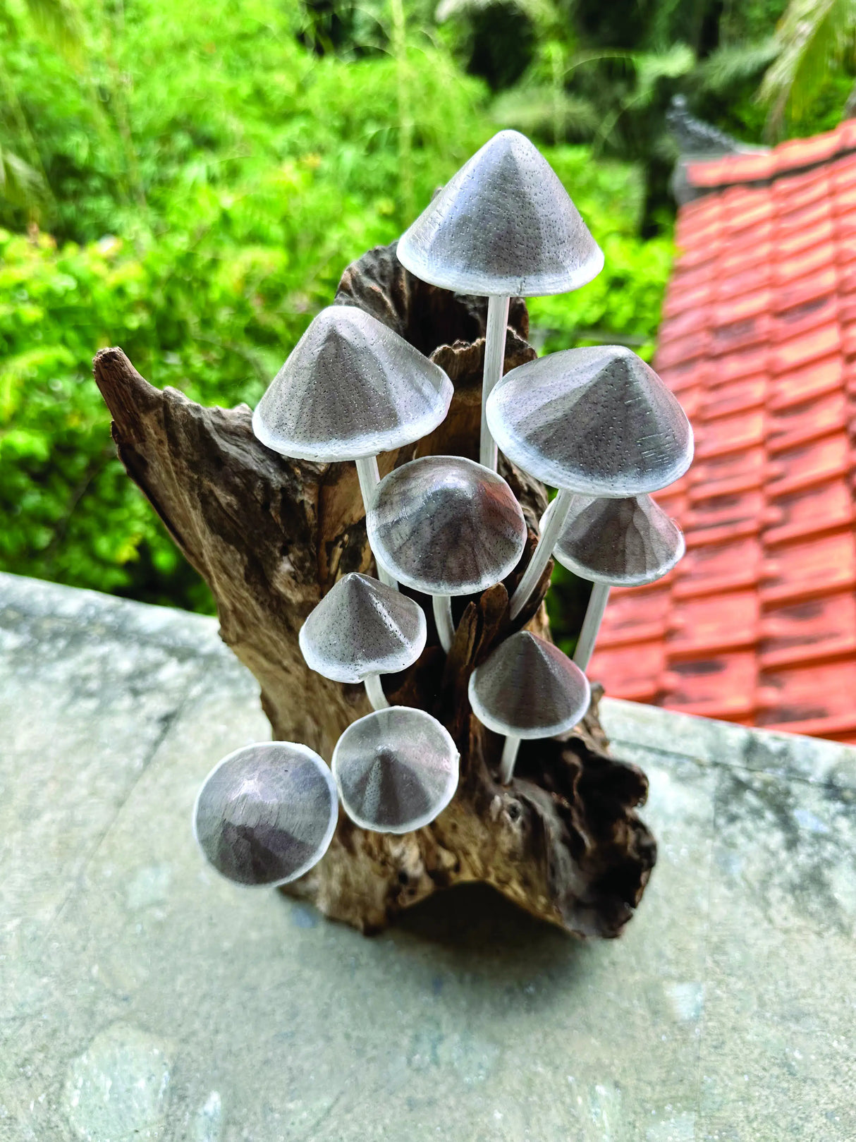 Ink Cap Mushroom Colony Driftwood Sculpture H30cm