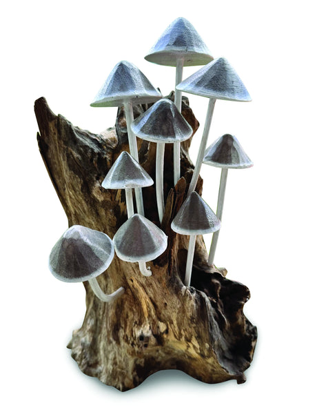 Ink Cap Mushroom Colony Driftwood Sculpture H30cm