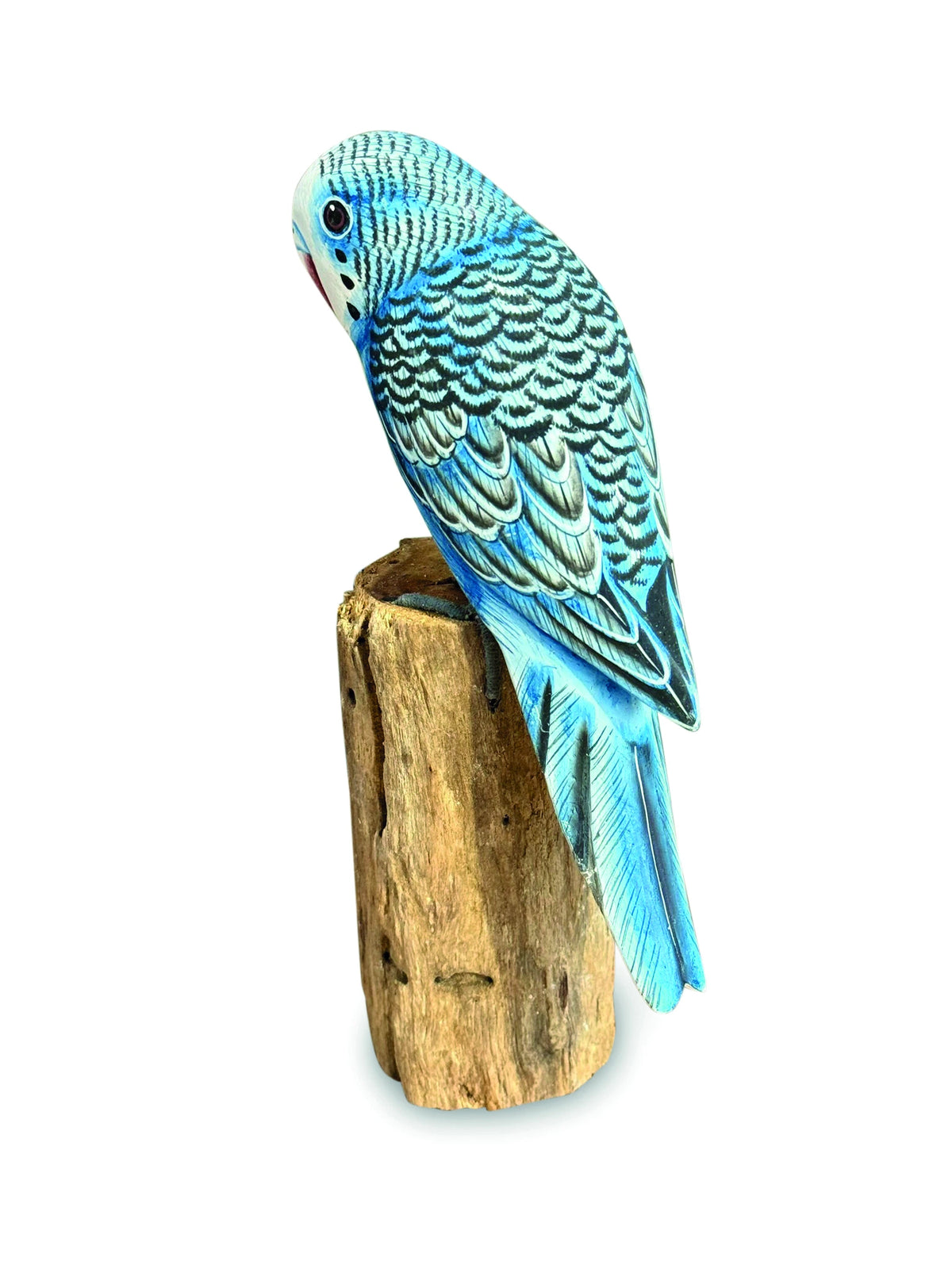 Blue Budgie 20cm (Please Order In Mutiples Of 2)