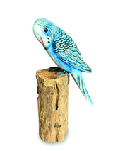 Blue Budgie 20cm (Please Order In Mutiples Of 2)
