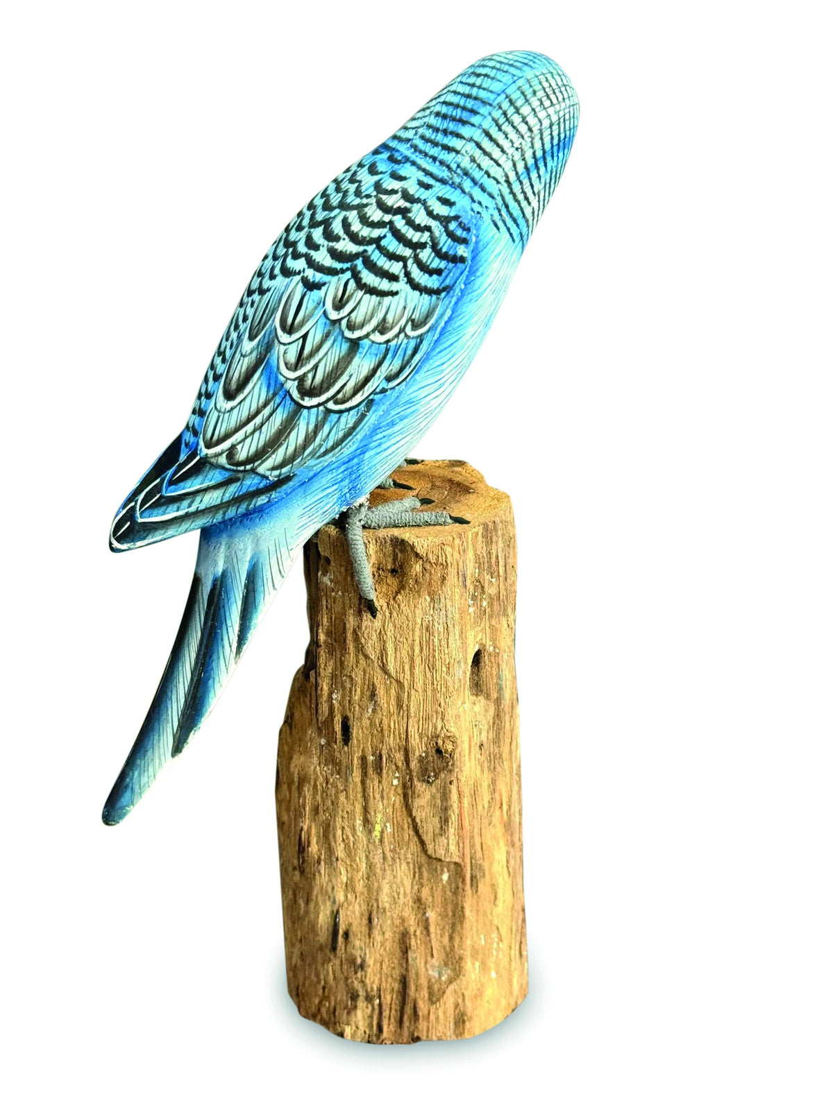Blue Budgie 20cm (Please Order In Mutiples Of 2)