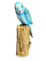 Blue Budgie 20cm (Please Order In Mutiples Of 2)