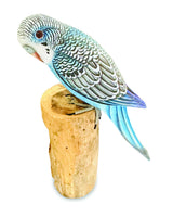 Blue Budgie 20cm (Please Order In Mutiples Of 2)