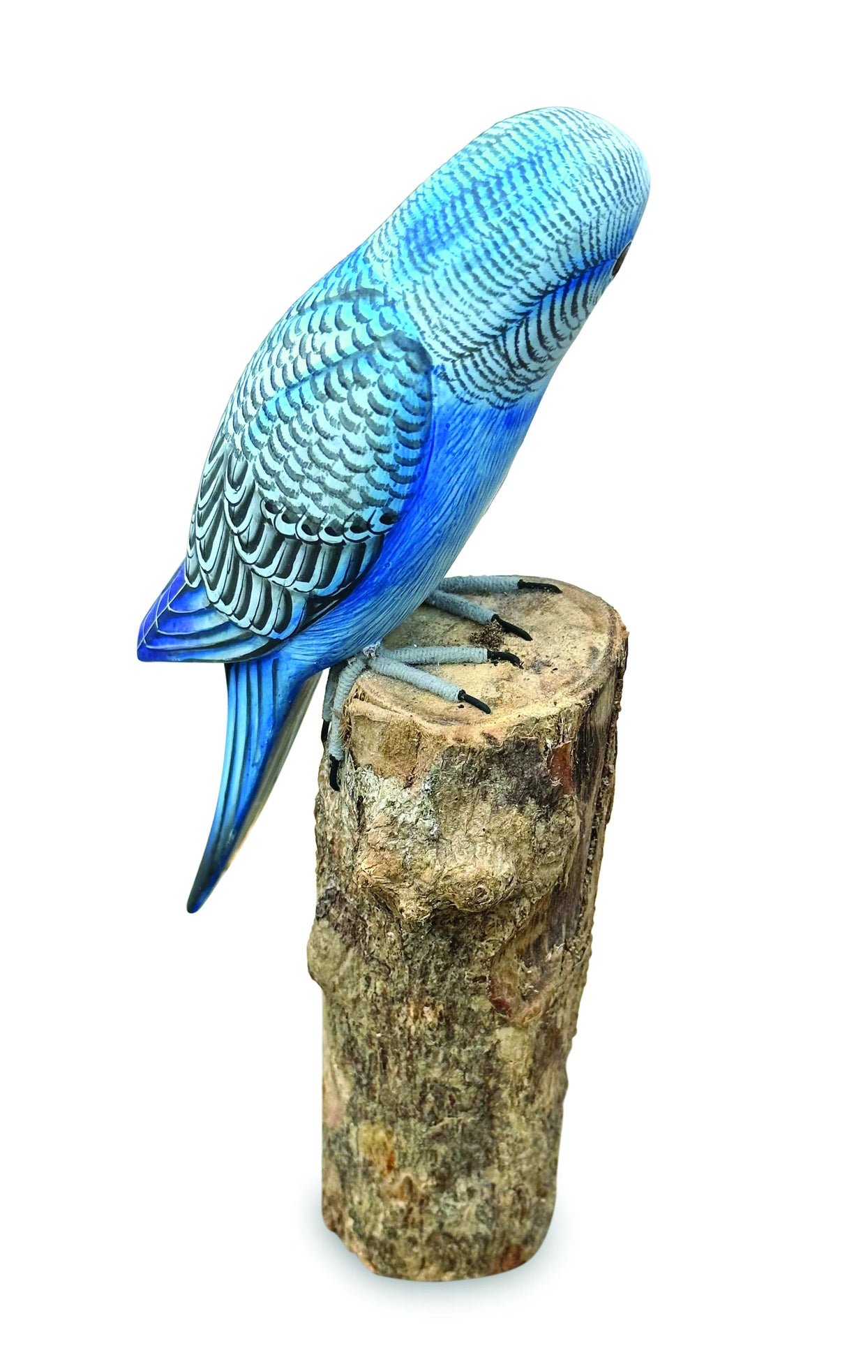 Blue Budgie 20cm (Please Order In Mutiples Of 2)