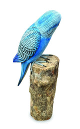 Blue Budgie 20cm (Please Order In Mutiples Of 2)