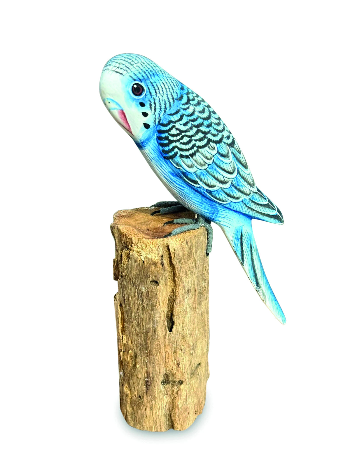 Blue Budgie 20cm (Please Order In Mutiples Of 2)