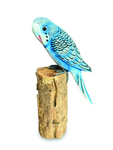 Blue Budgie 20cm (Please Order In Mutiples Of 2)