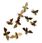 Pack Of 10 Large Wooden Bees 8.5cm