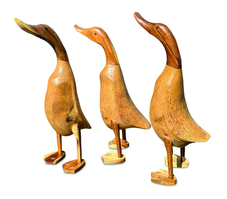SMOOTH DUCK NATURAL 45cm LARGE, SET OF 3