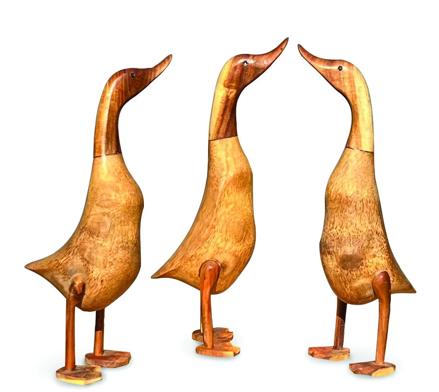 Smooth Ducks Natural 45cm Large Set Of 3