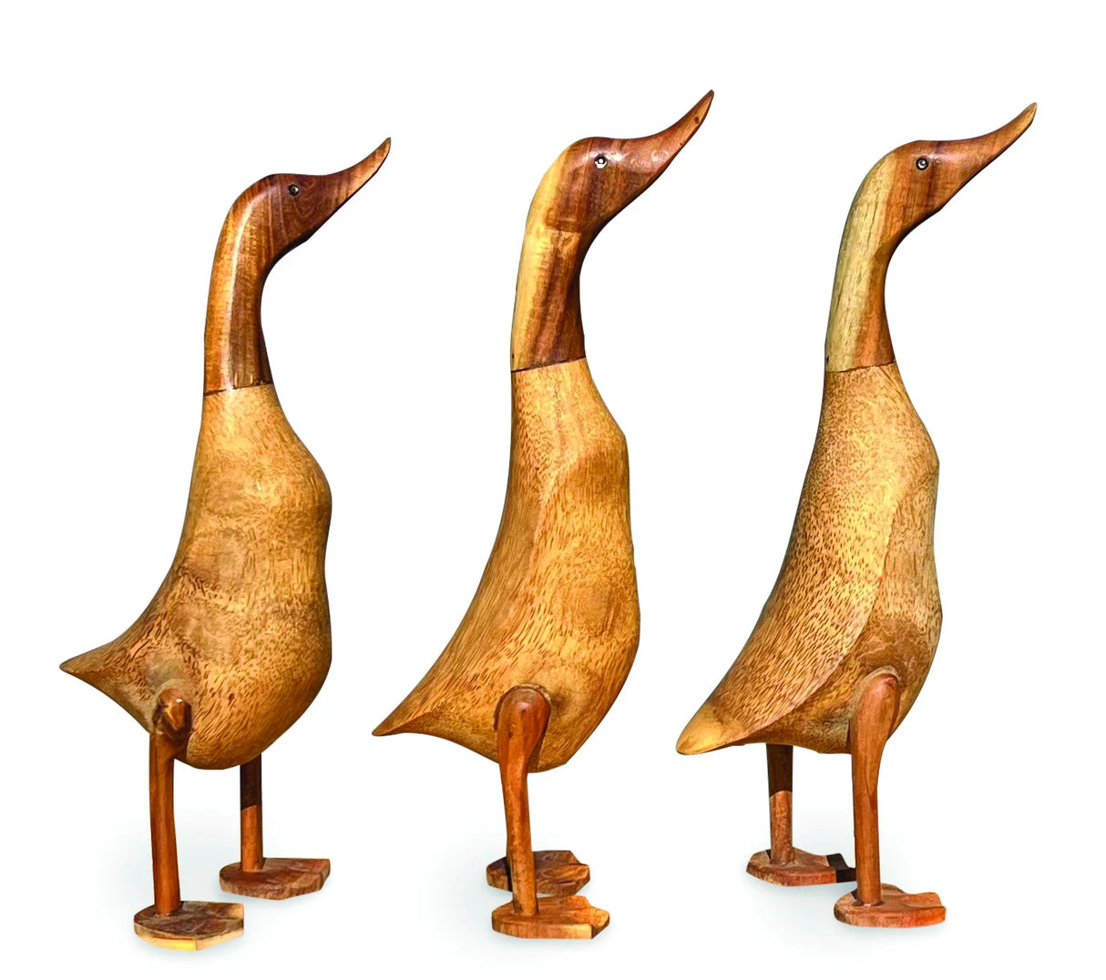 SMOOTH DUCK NATURAL 45cm LARGE, SET OF 3