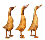 SMOOTH DUCK NATURAL 45cm LARGE, SET OF 3