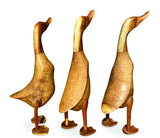 SMOOTH DUCK NATURAL 45cm LARGE, SET OF 3