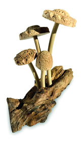 4 Shitake Mushrooms On Driftwood