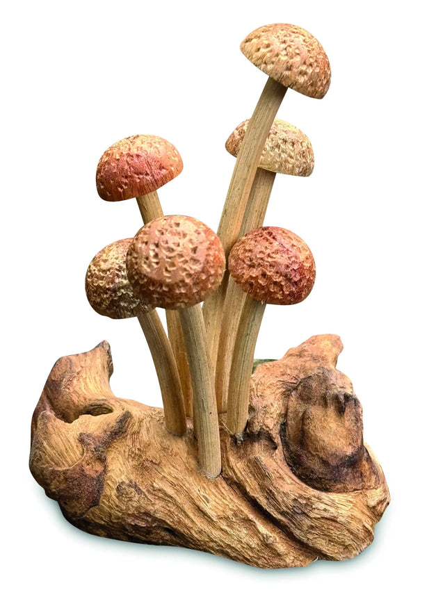 SKINNY MUSHROOM FOREST