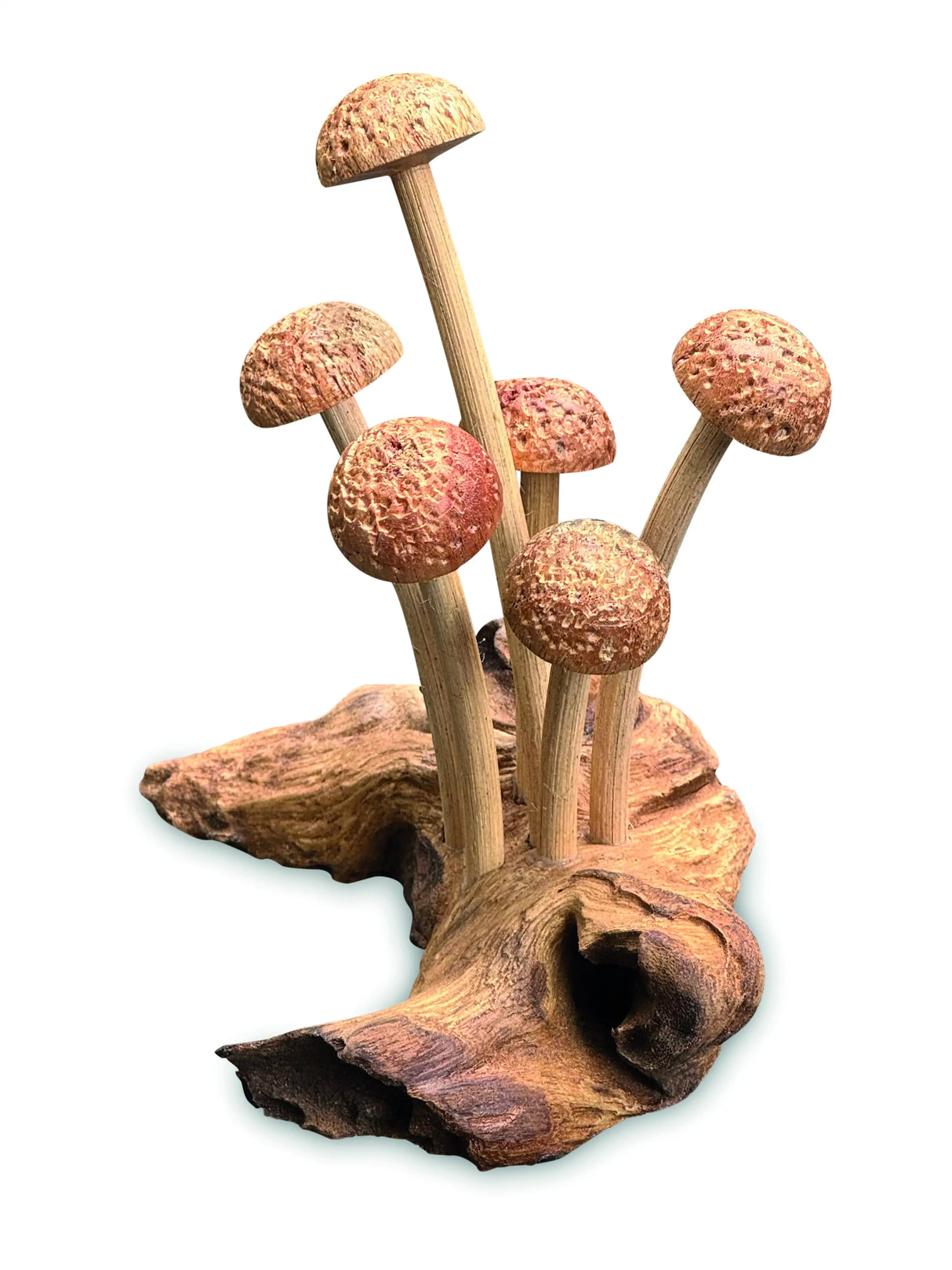 SKINNY MUSHROOM FOREST