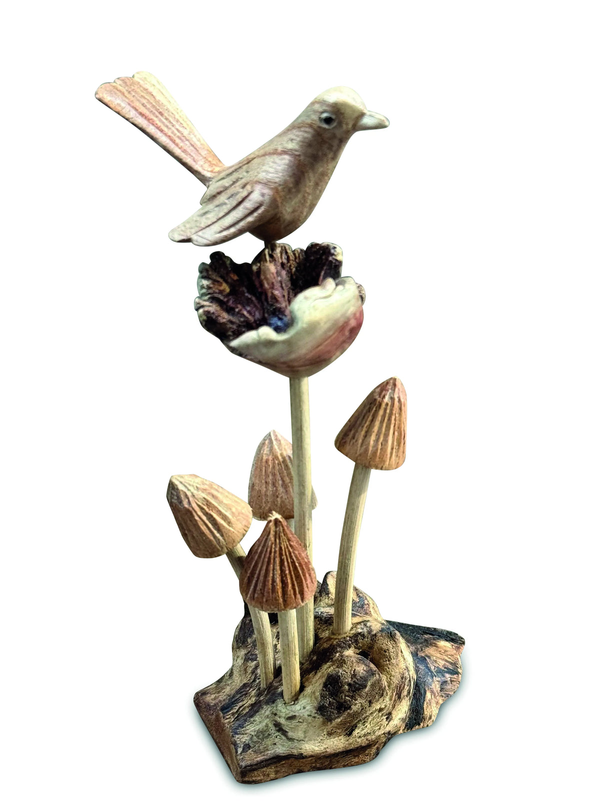 WREN ON 5 MUSHROOMS