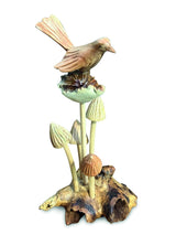 Wren On 5 Mushrooms