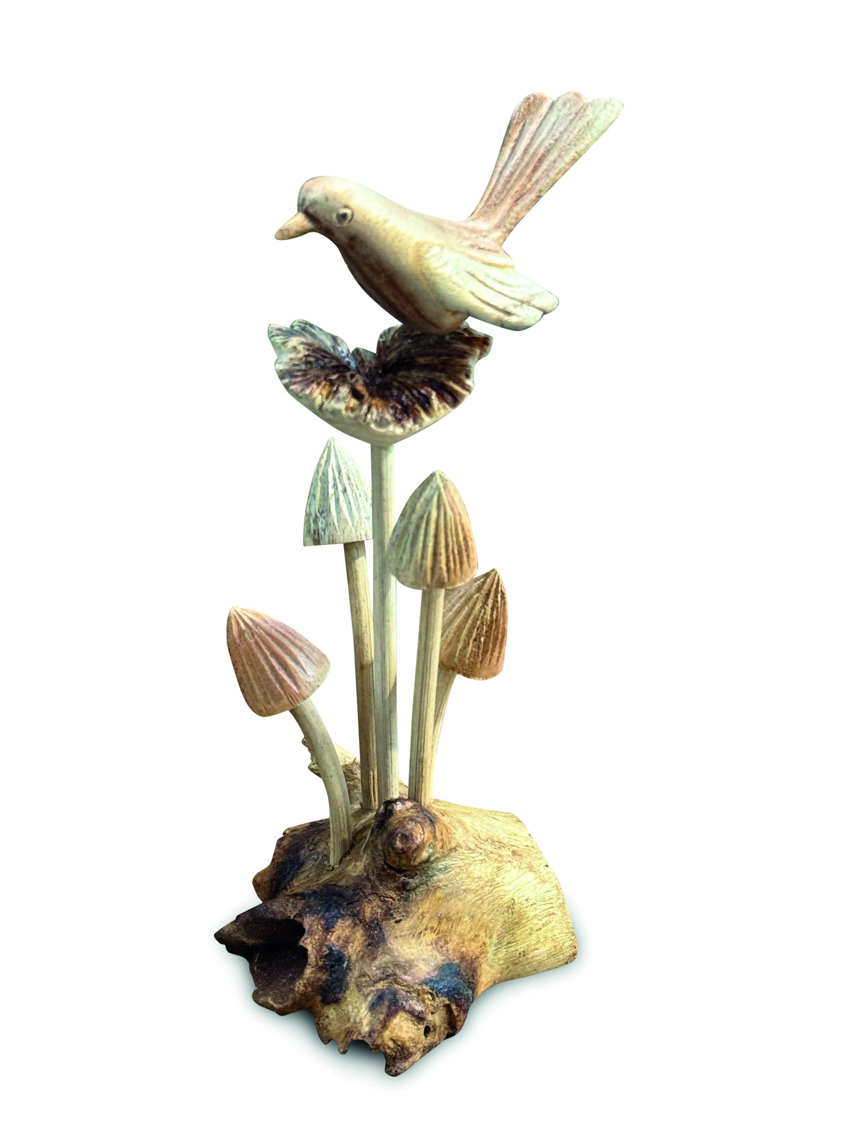Wren On 5 Mushrooms