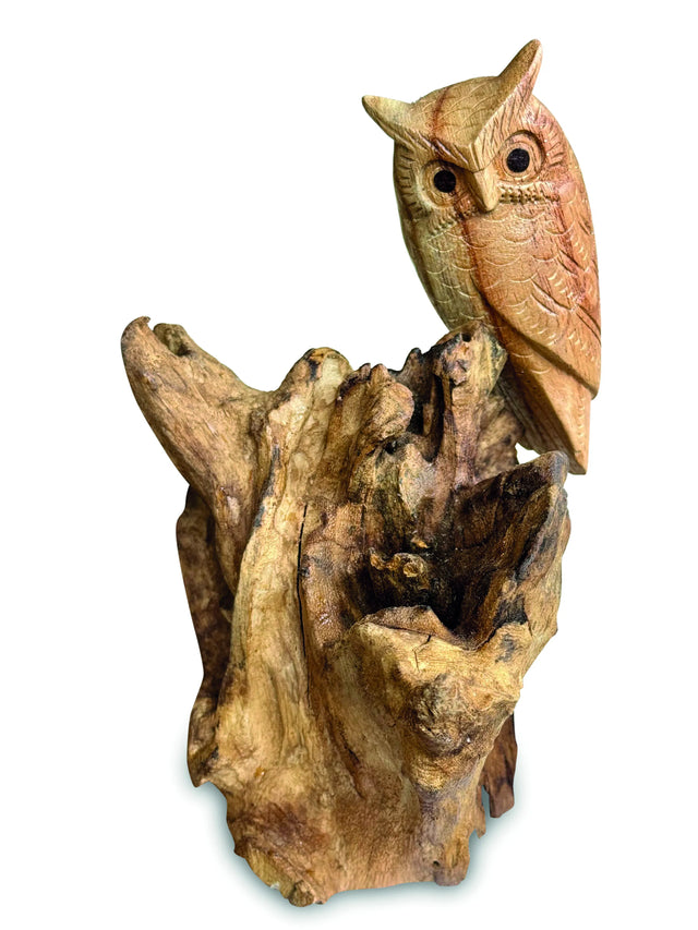 Single Tawny Owl On Driftwood